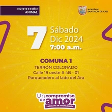 Jornada de esterilización 7 de diciembre de 2024
