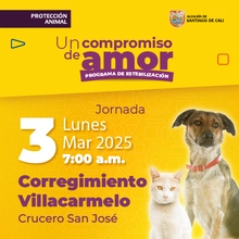 Jornada de estilización - Corregimiento Villacarmelo - Crucero San José - 03/03/2025