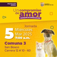 Jornada de estilización Comuna 3 - San Bosco - Cr. 12 # 10 - 60 - 05/03/2025