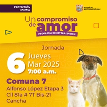 Jornada de estilización - Comuna 7 - Cancha - Alfonso López Etapa 3 - Cl.81a # 7T Bis-21 - 06/03/2025.