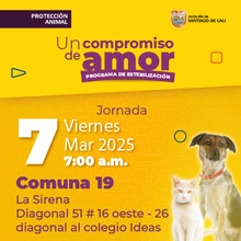 Jornada de estilización - Comuna 19 - Diagonal 51 # 16 oeste - 26 diagonal al colegio Ideas.