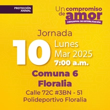 Jornada de Estetización 10 de marzo de 2025 - Comuna 6 Floralia Calle 72C # 3BN - 51 Polideportivo Floralia
