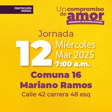 Jornada de Estetización 12 de marzo de 2025 - Comuna 16 Mariano Ramos Calle 42 Carrera 48 esp