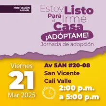 Jornada de Adopción