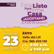 Jornada de Adopción 23 de marzo de 2025 - Éxito Valle del Lili Cr. 98b # 25-130 