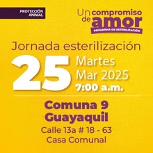 Jornada de Estetización 25 de marzo de 2025 - Comuna 9 Guayaquil Cl. 13a # 18-63 Casa Comunal