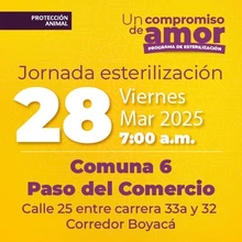 Jornada de Estetización 28 de marzo de 2025 - Comuna 6 Paso del Comercio Cl. 25 entre Cr. 33a y 32 Corredor Boyacá