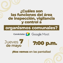 Cuales son las funciones del area de inspecion y vigilancia