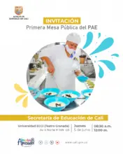 Primera mesa pública del PAE
