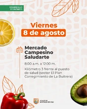 Mercado Campesino Saludarte