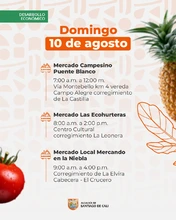 Mercados campesinos 10 de agosto