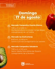 Mercados campesinos 17 de agosto