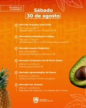 Mercados Campesinos 30 de agosto