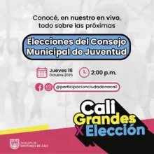 Eleciones de consejo juveniles