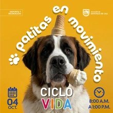 Ciclovida