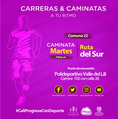 Caminata comuna 22 Ruta del Sur
