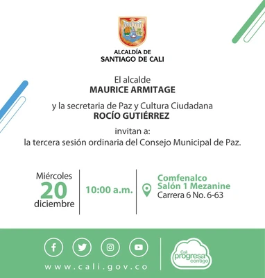 Sesión Consejo Municipal de Paz