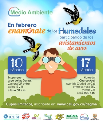 Avistamiento de aves