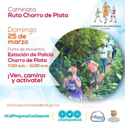 Caminata ruta Chorro de Plata 
