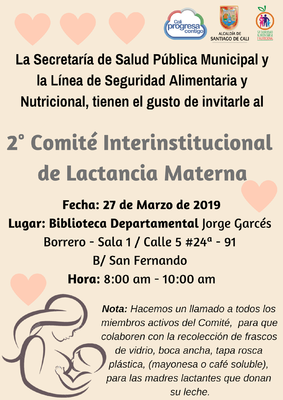 2° Comité Interinstitucional de lactancia materna 2019