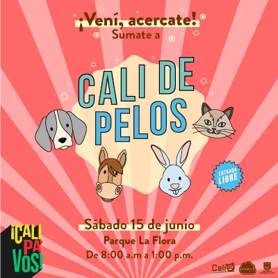 Cali de pelos