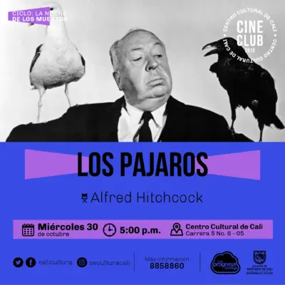 "Ciclo La noche de los muertos Pelicula: Los pajaros de Alfred Hitchcock Año: 1963 Duración: 120 minutos USA" Sala 218 – Centro Cultural de Cali