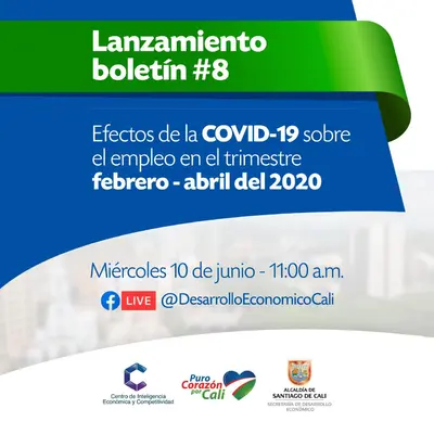 Lanzamiento Boletín CIEC # 8