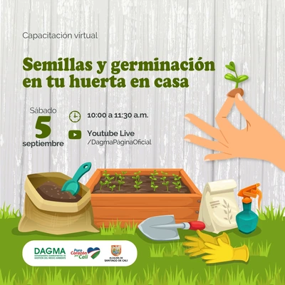 Semillas y germinación en tu huerta en casa