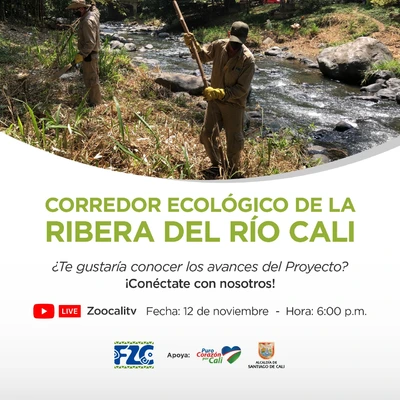 Segunda socialización de los avances del Proyecto Corredor Ecológico de la Ribera del río Cali