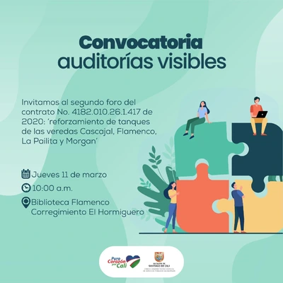 Convocatoria Auditoria Visibles