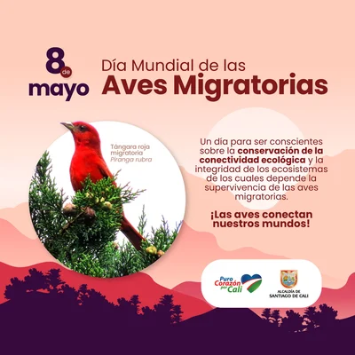 Día Mundial de las Aves Migratorias