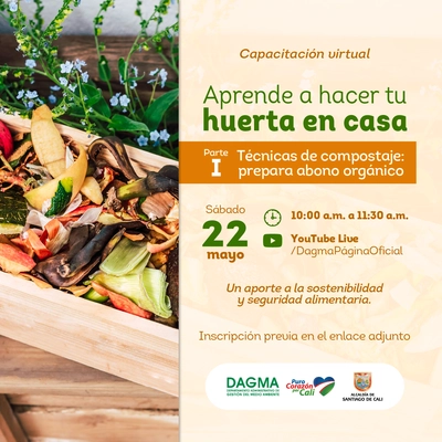 Aprende a hacer tu huerta en casa