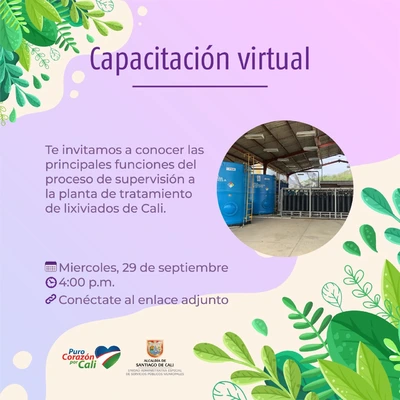 Capacitación virtual