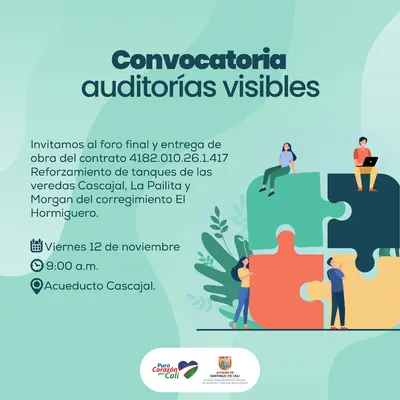 Auditoría visible Reforzamiento de Tanques