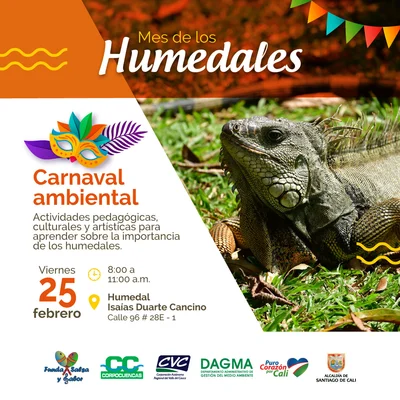 Carnaval Ambiental