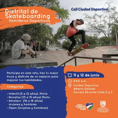 Distrital de Skateboarding