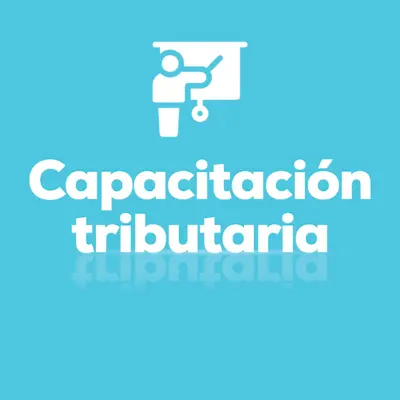 Capacitación Virtual 