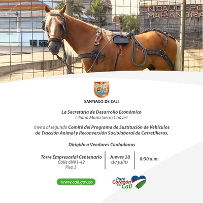 Comité del programa de sustitución de tracción animal