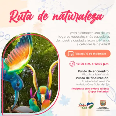 Recorrido ruta urbana de naturaleza pre-navideña