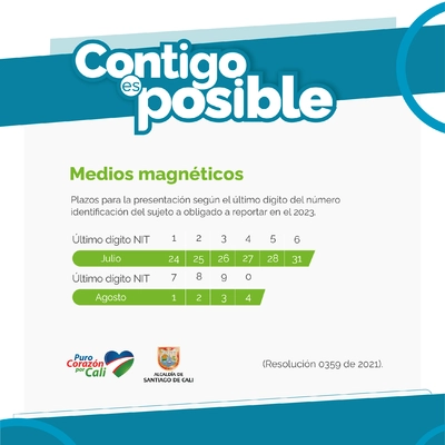 NIT terminado en 4 - Presentación de Medios Magnéticos