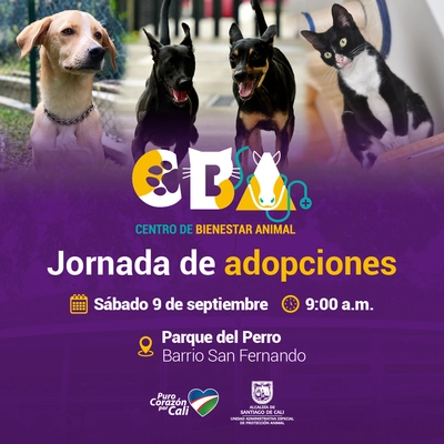 Jornada de adopciones
