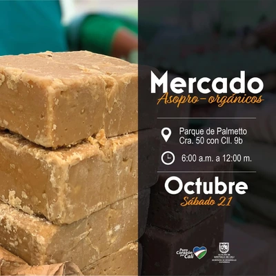 Mercado Asopro-orgánicos 