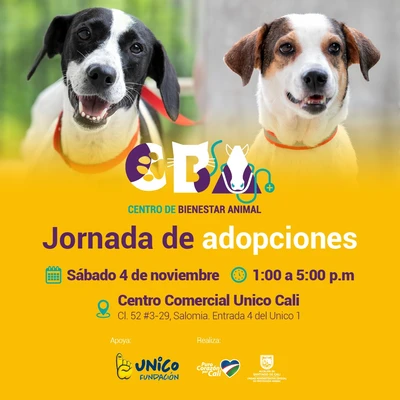 Jornada de adopciones 04 de noviembre 2023  