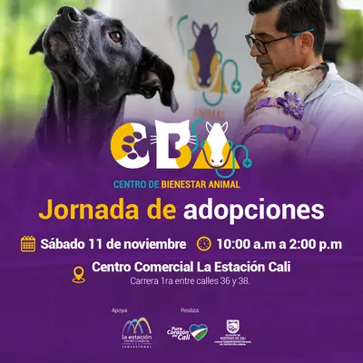 Jornada de adopciones 11 de noviembre 2023  