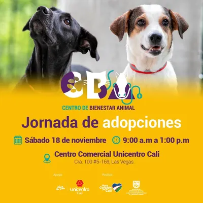 Jornada de adopciones 18 de noviembre 2023  