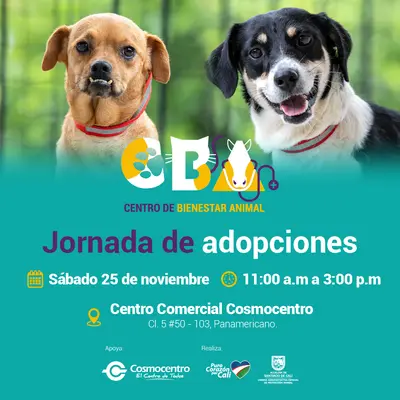 Jornada de adopciones 25 de noviembre 2023  