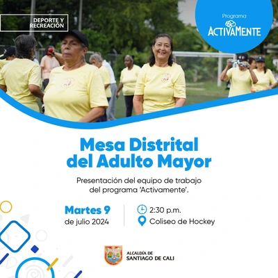 Mesa Distrital del Adulto Mayor