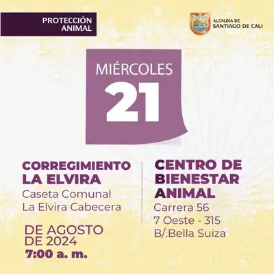 Jornada de esterilización Centro de Bienestar Animal