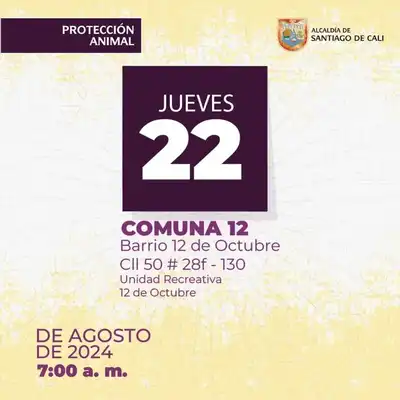 Jornada de esterilización Comuna 12