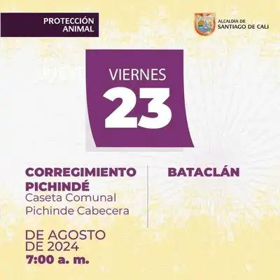 Jornada de esterilización Corregimiento Pichinde